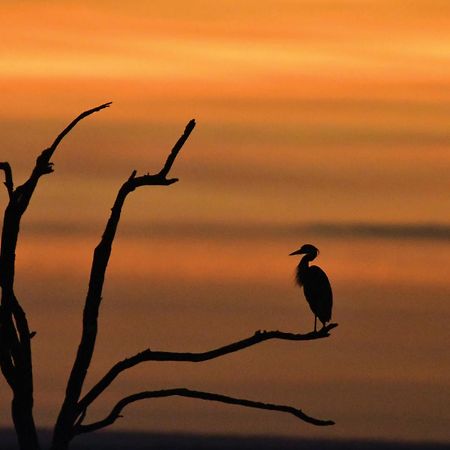 Madikwe River Lodge By Dream Resorts มาเดิคเวเกมรีเซิร์ฟ ภายนอก รูปภาพ