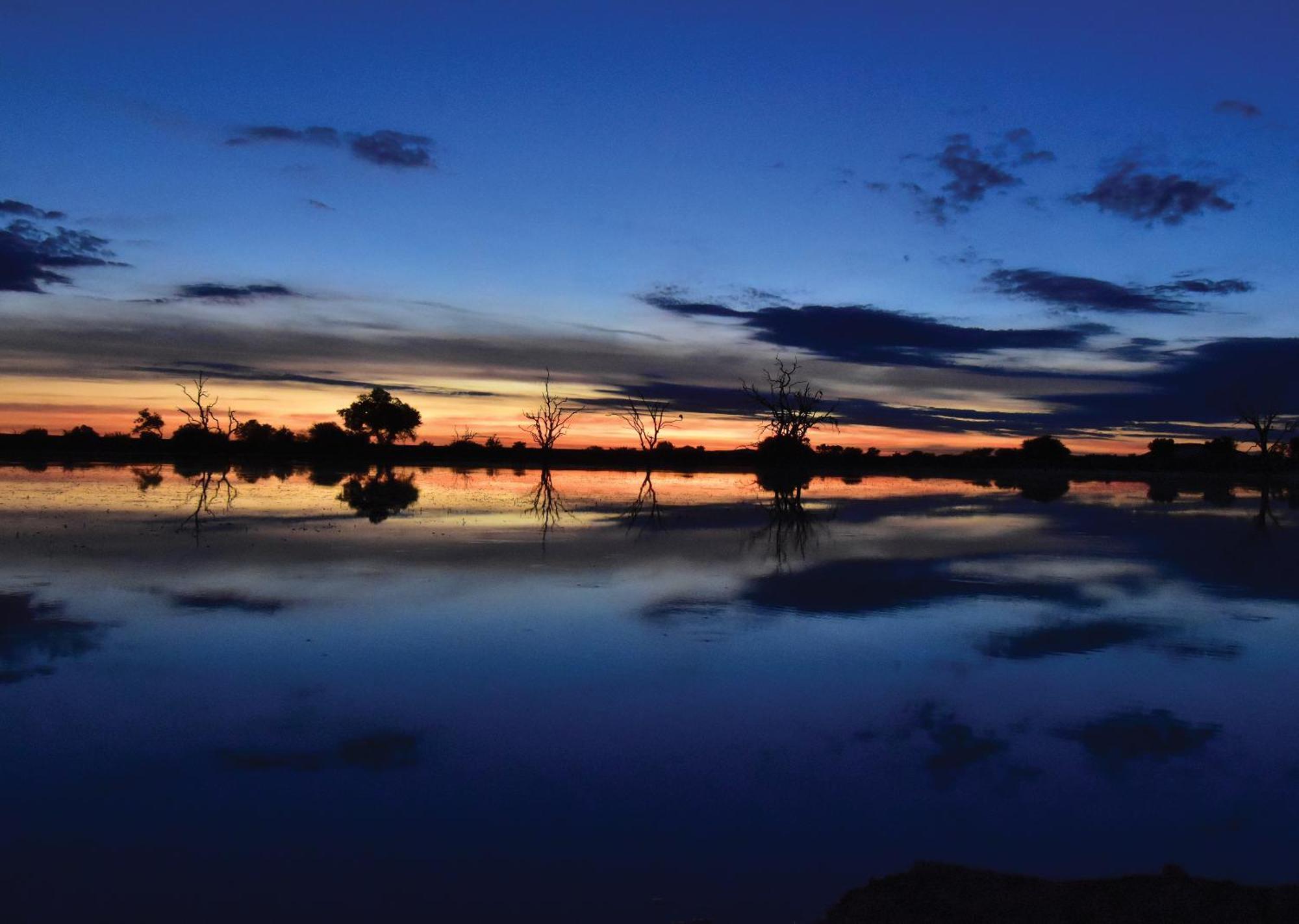 Madikwe River Lodge By Dream Resorts มาเดิคเวเกมรีเซิร์ฟ ภายนอก รูปภาพ