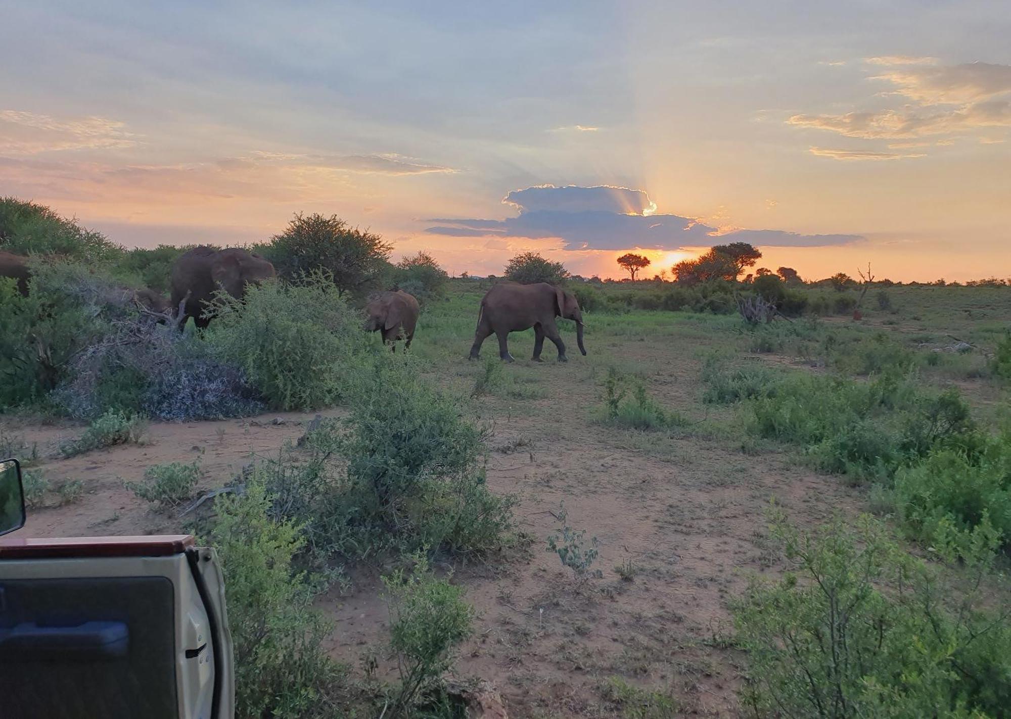 Madikwe River Lodge By Dream Resorts มาเดิคเวเกมรีเซิร์ฟ ภายนอก รูปภาพ