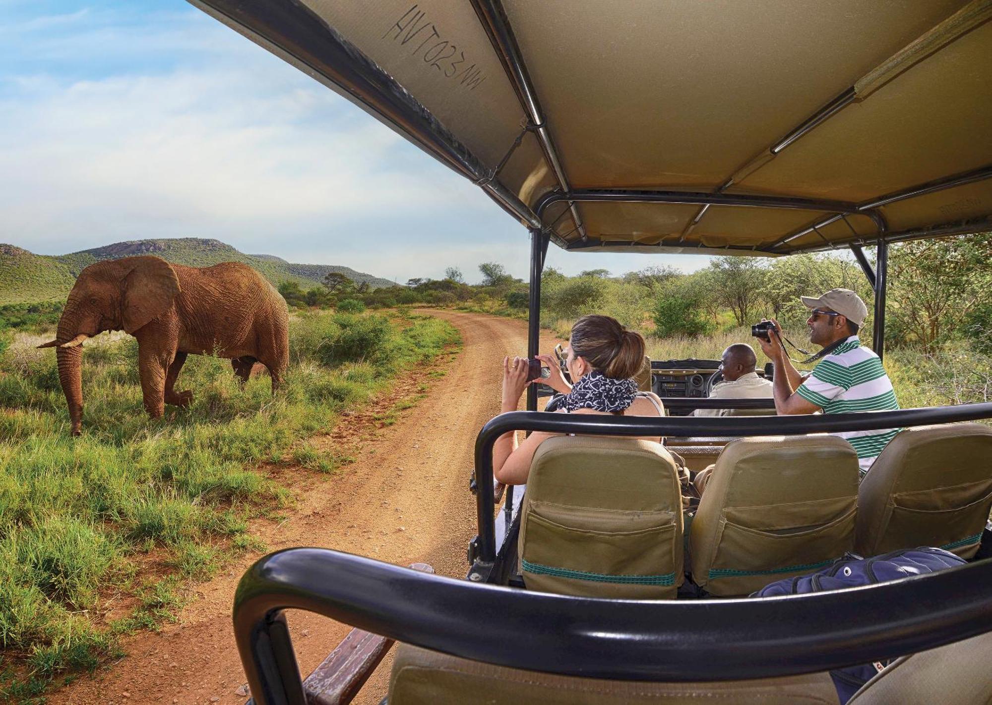 Madikwe River Lodge By Dream Resorts มาเดิคเวเกมรีเซิร์ฟ ภายนอก รูปภาพ