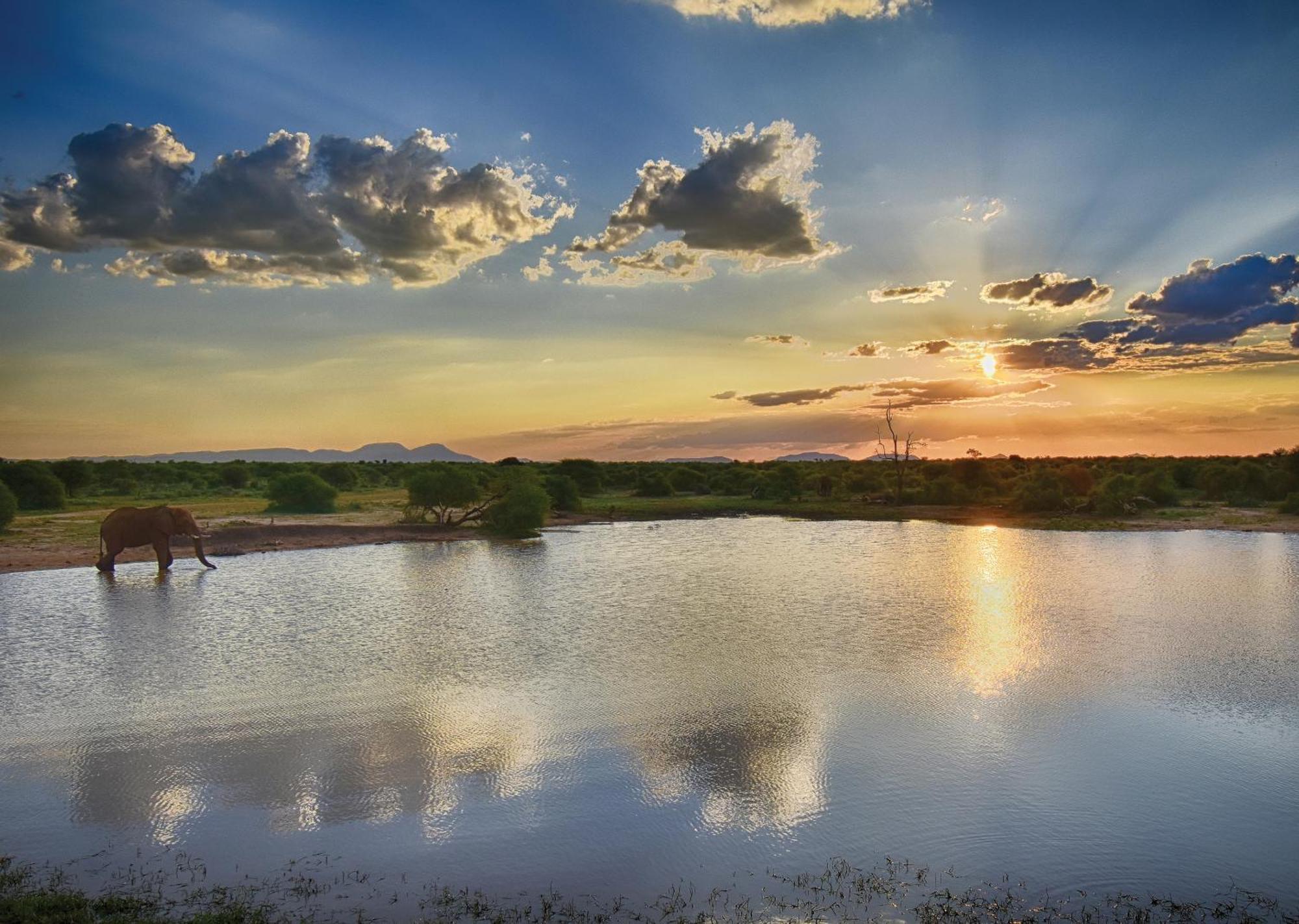 Madikwe River Lodge By Dream Resorts มาเดิคเวเกมรีเซิร์ฟ ภายนอก รูปภาพ