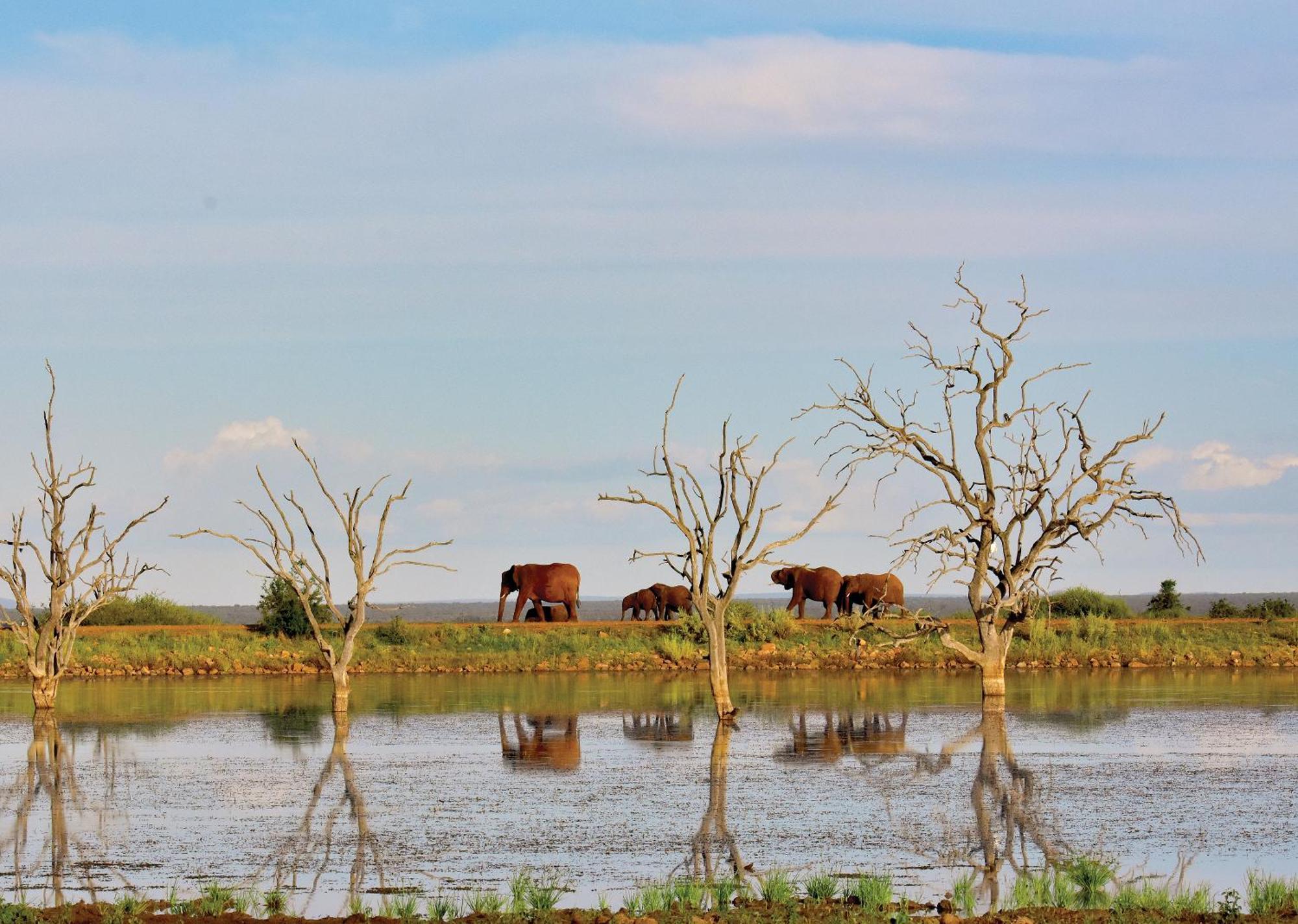 Madikwe River Lodge By Dream Resorts มาเดิคเวเกมรีเซิร์ฟ ภายนอก รูปภาพ
