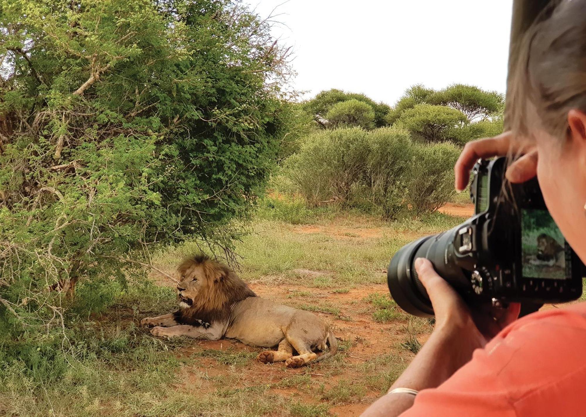 Madikwe River Lodge By Dream Resorts มาเดิคเวเกมรีเซิร์ฟ ภายนอก รูปภาพ