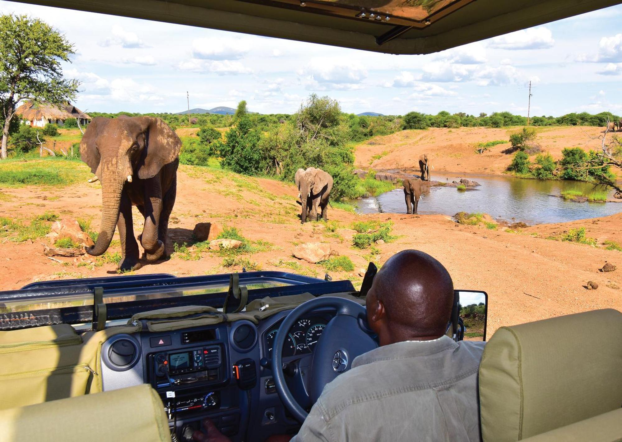Madikwe River Lodge By Dream Resorts มาเดิคเวเกมรีเซิร์ฟ ภายนอก รูปภาพ