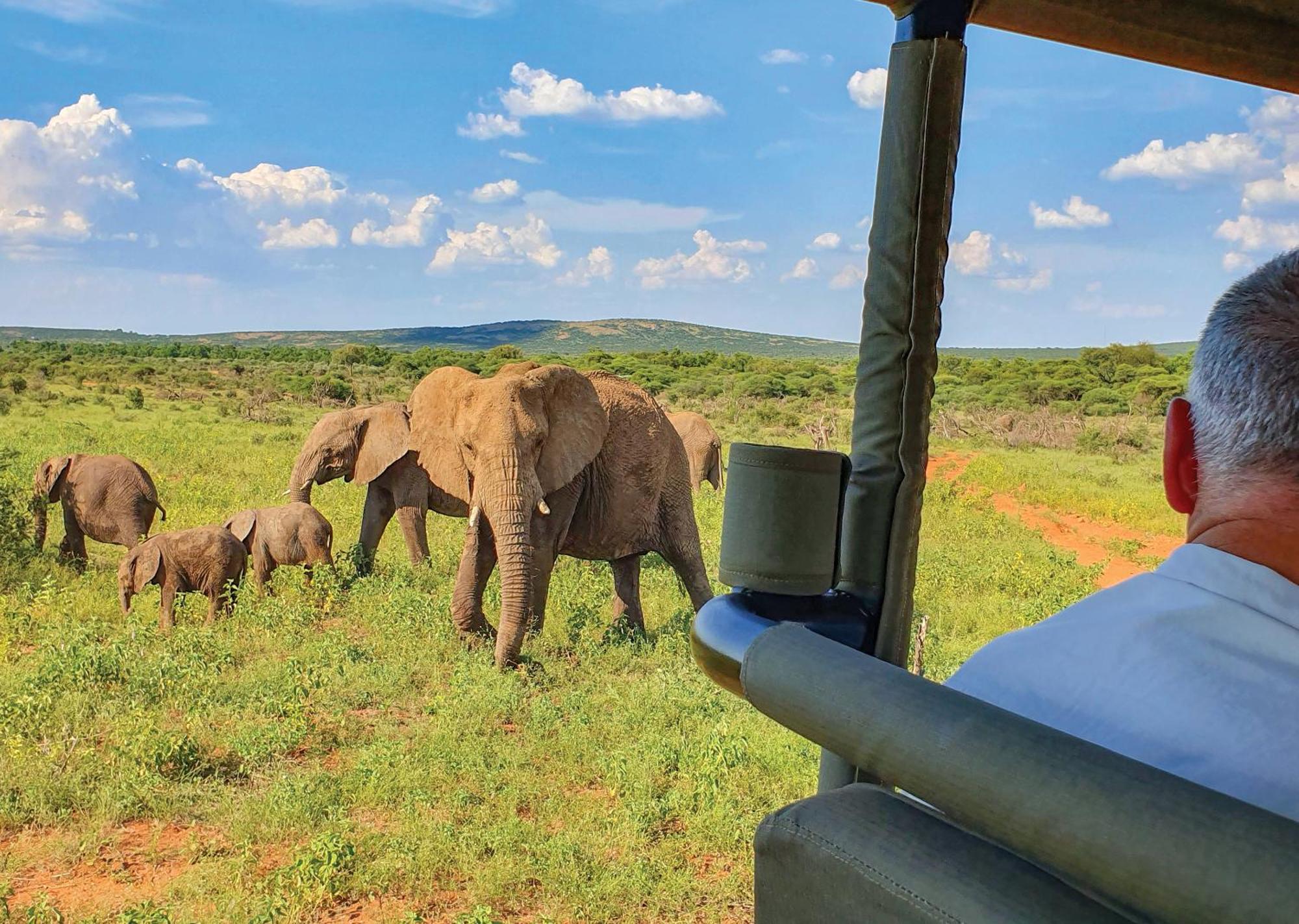 Madikwe River Lodge By Dream Resorts มาเดิคเวเกมรีเซิร์ฟ ภายนอก รูปภาพ