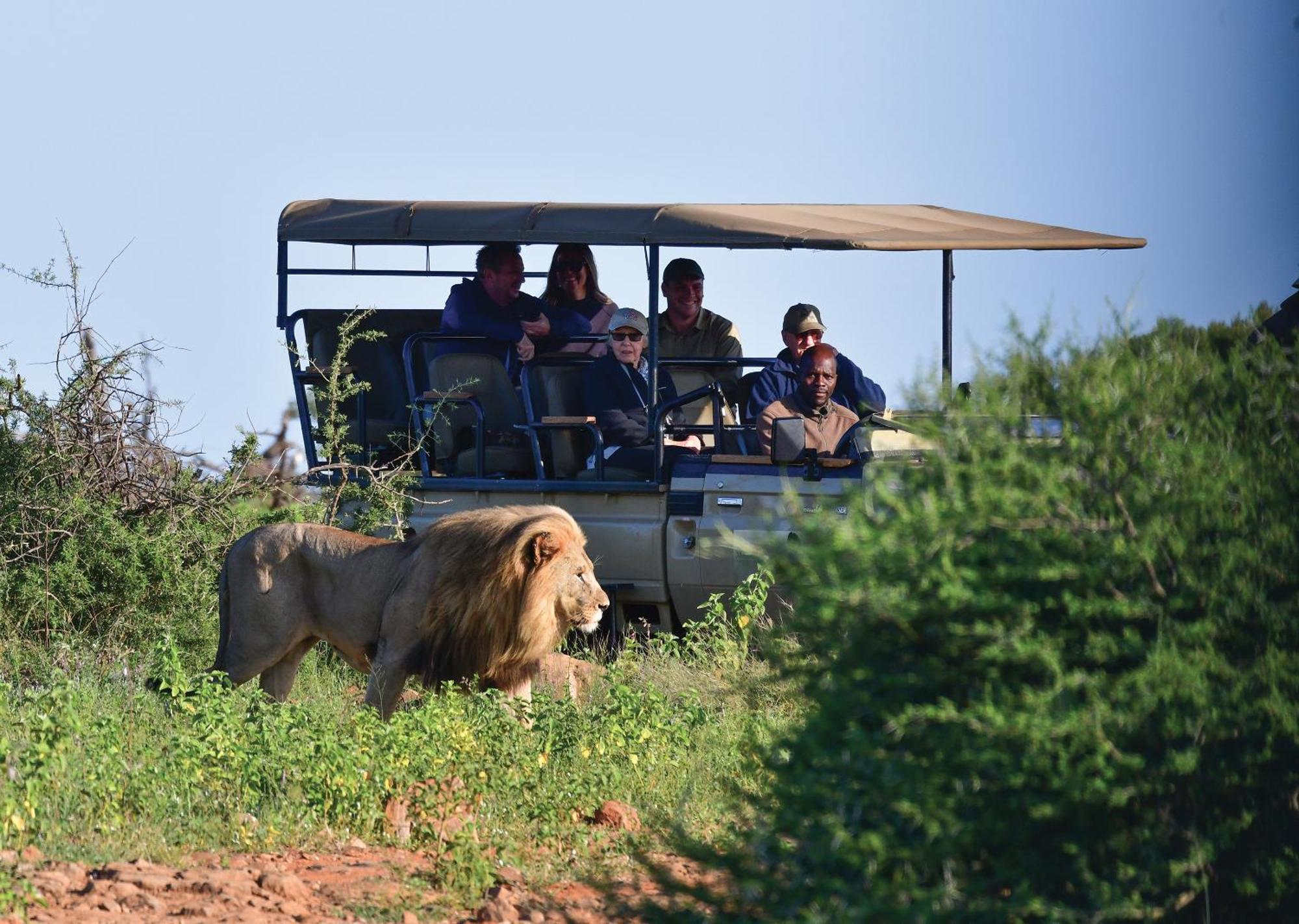 Madikwe River Lodge By Dream Resorts มาเดิคเวเกมรีเซิร์ฟ ภายนอก รูปภาพ