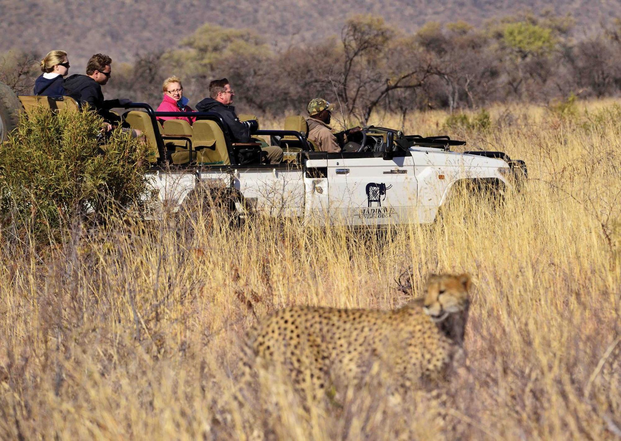 Madikwe River Lodge By Dream Resorts มาเดิคเวเกมรีเซิร์ฟ ภายนอก รูปภาพ