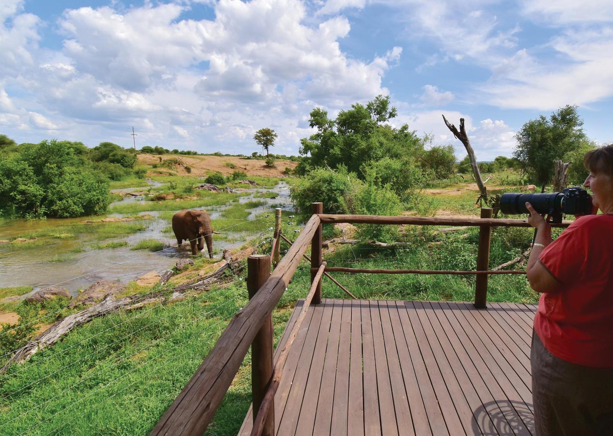 Madikwe River Lodge By Dream Resorts มาเดิคเวเกมรีเซิร์ฟ ห้อง รูปภาพ