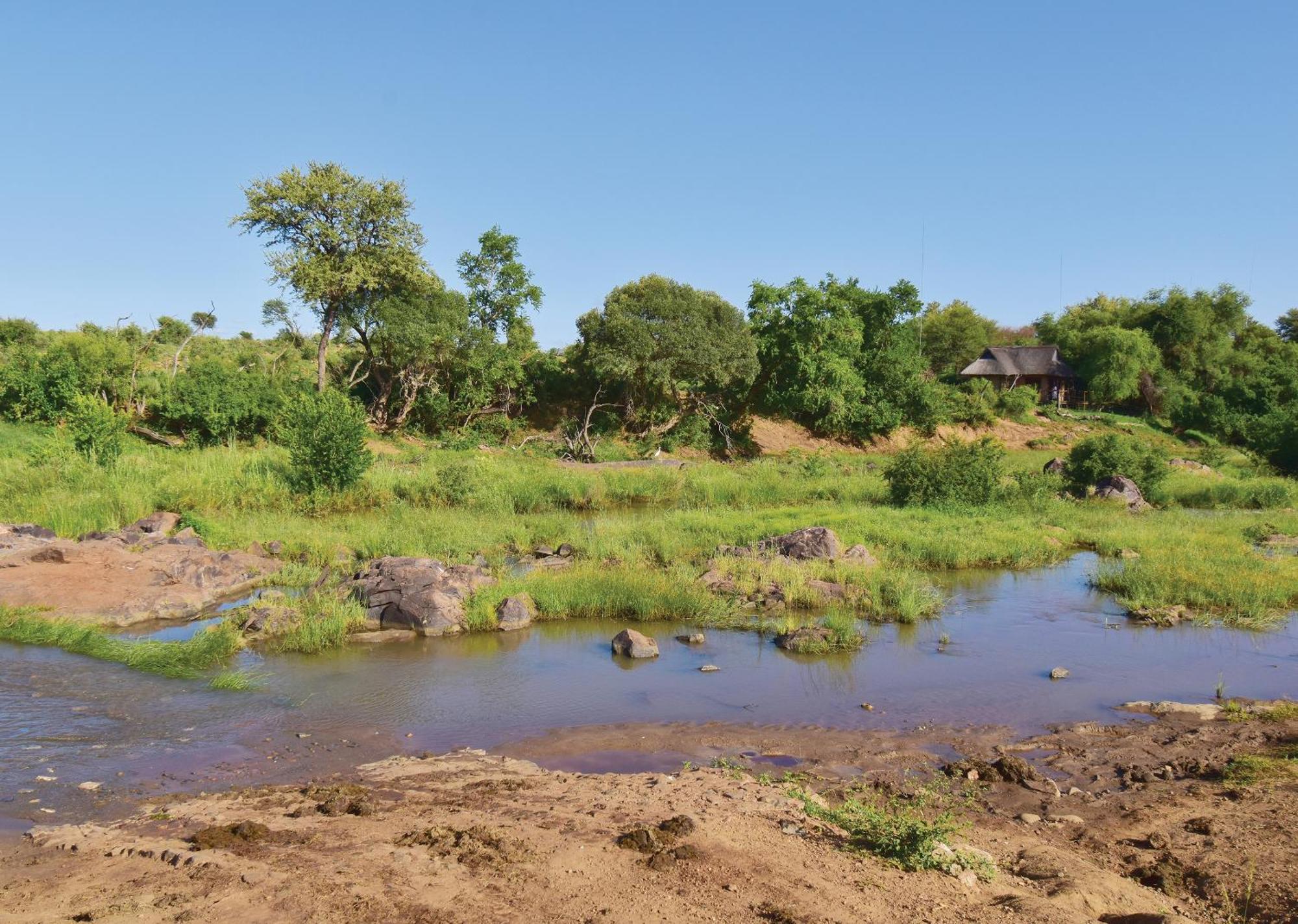 Madikwe River Lodge By Dream Resorts มาเดิคเวเกมรีเซิร์ฟ ห้อง รูปภาพ